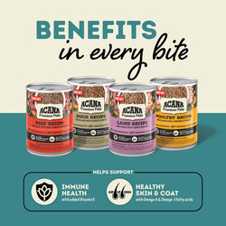 Acana Premium Pâté Wet Dog Food - Beef - 12.5oz Can